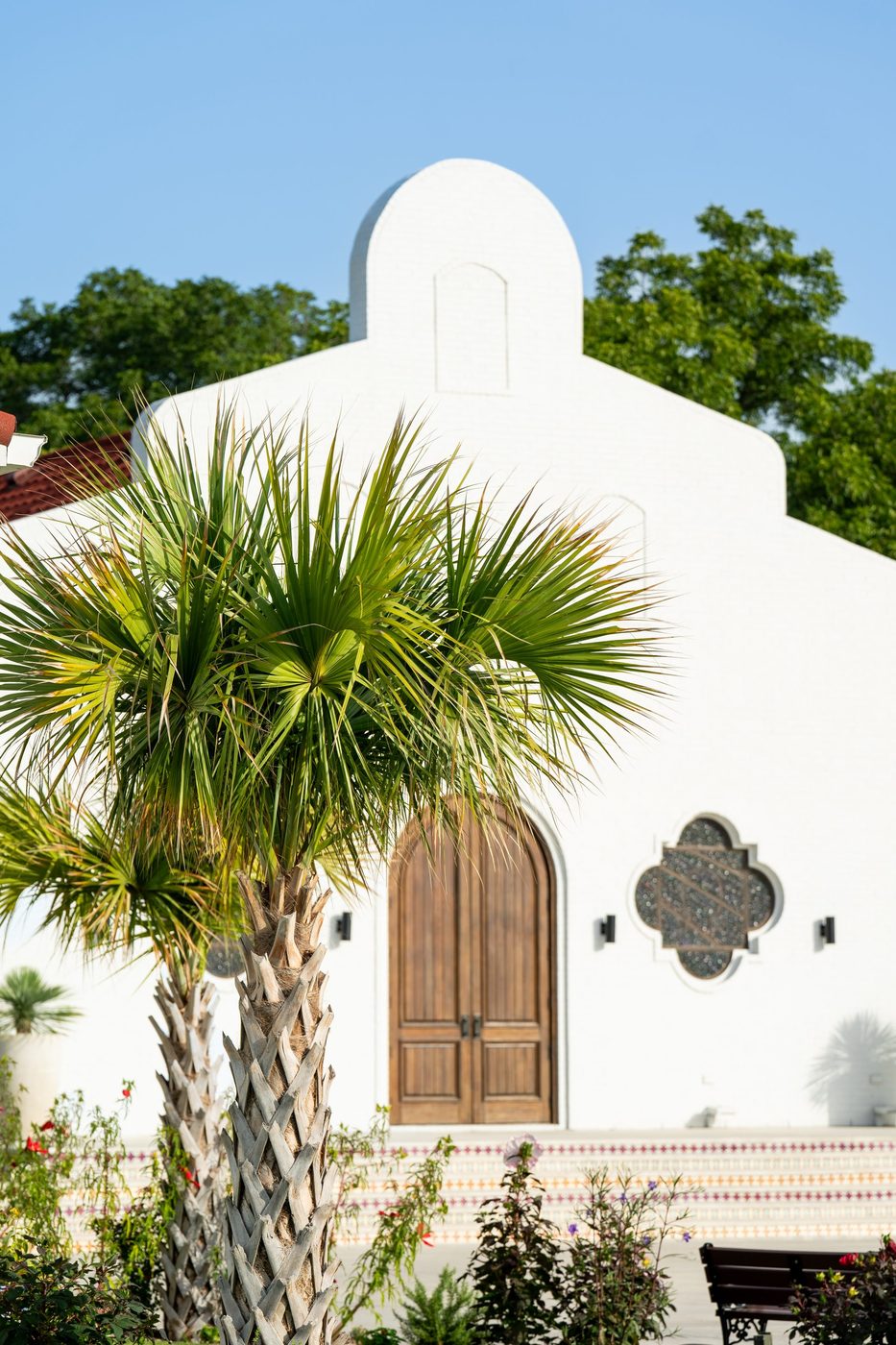 Chapel Palm and Doorway